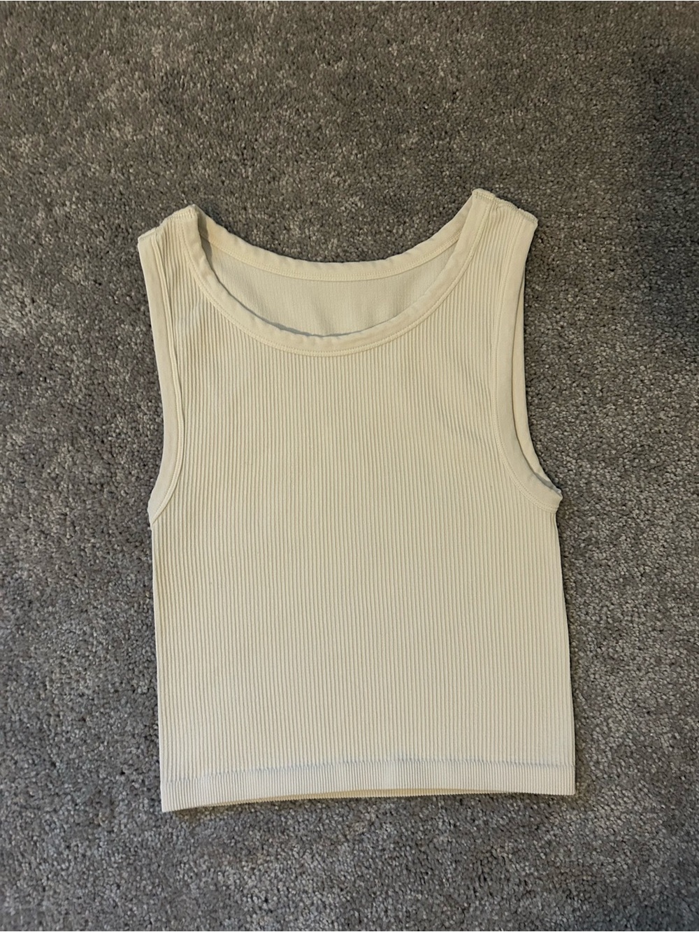Aritzia Sunday Best Sinchseamless crew tank